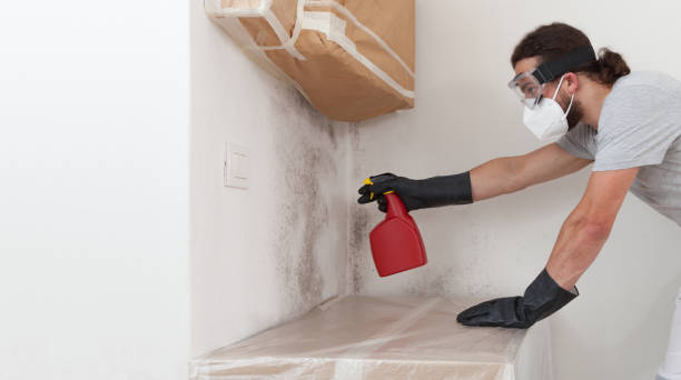 Professional Attic Mold Removal technician working in Woodland, PA